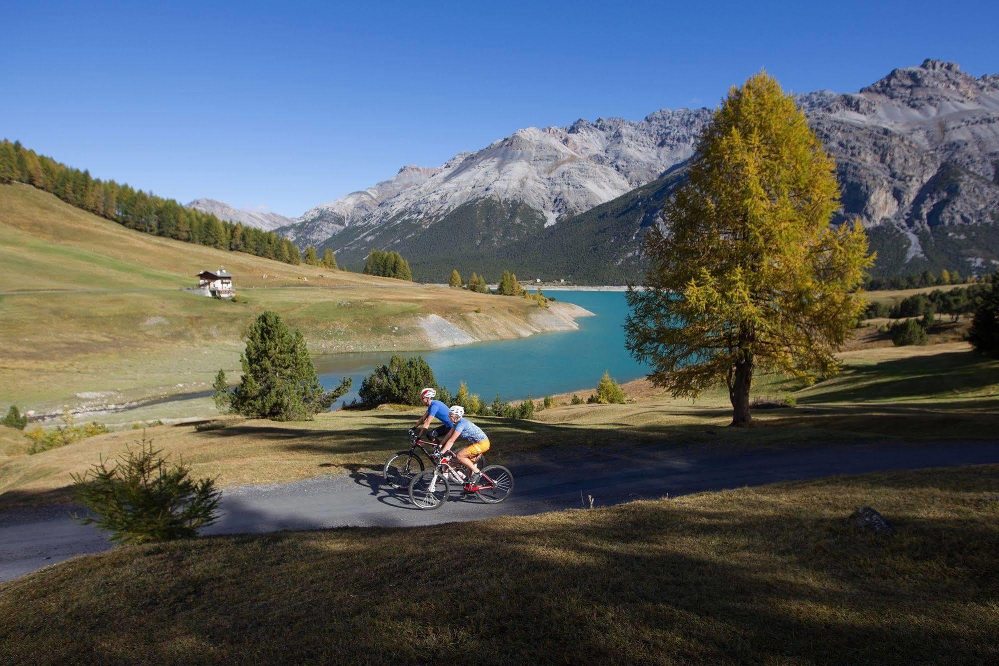 Meublè Garnì Della Contea Hotel Bormio